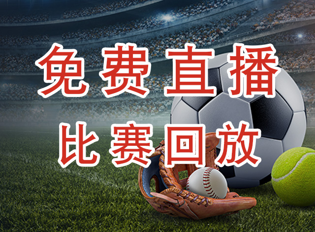 明尼苏达森林狼